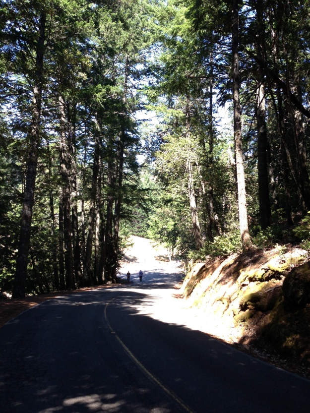 The road to the Mountain Theatre atop Mt. Tamalpais